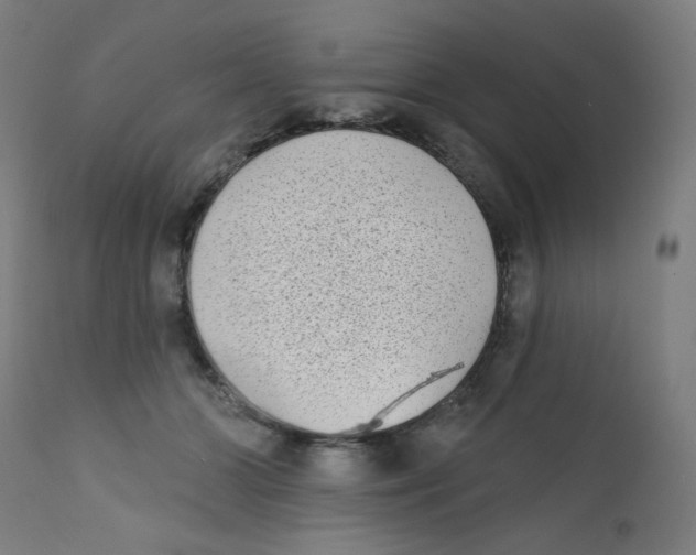 X0000112180510200909041233