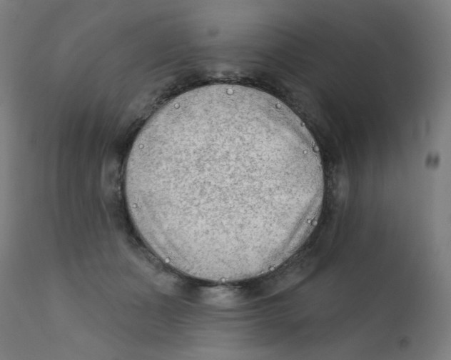 X0000112180511200909041233