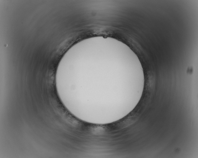 X0000112180513200909041233