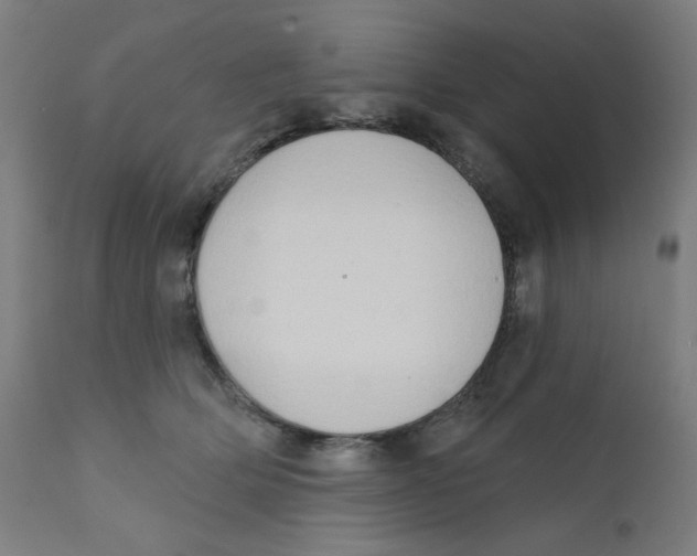 X0000112180514200909041233