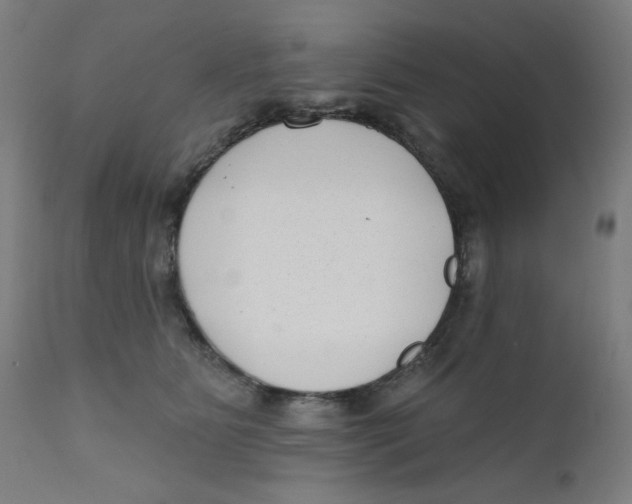X0000112180515200909041233