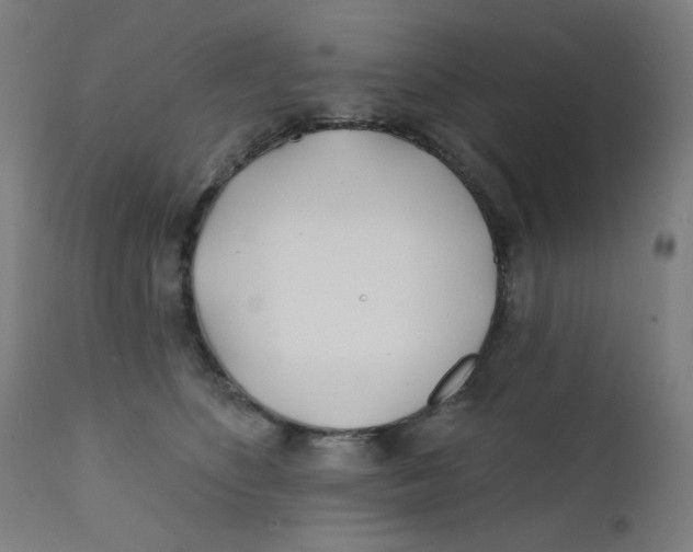 X0000112180516200909041233