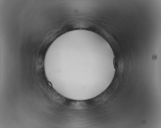X0000112180517200909041233