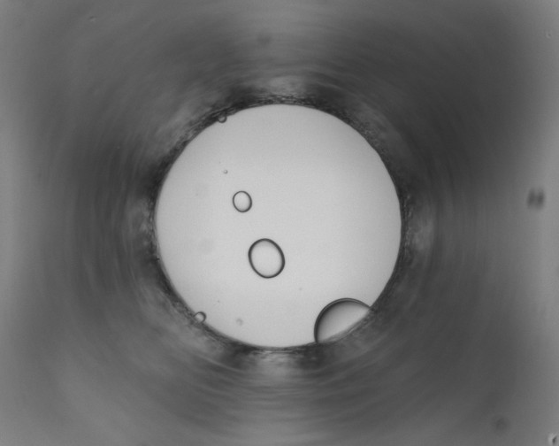 X0000112180518200909041233