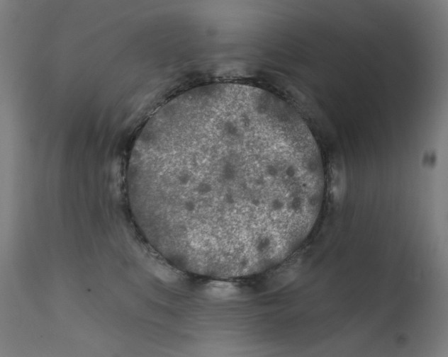 X0000112180519200909041233