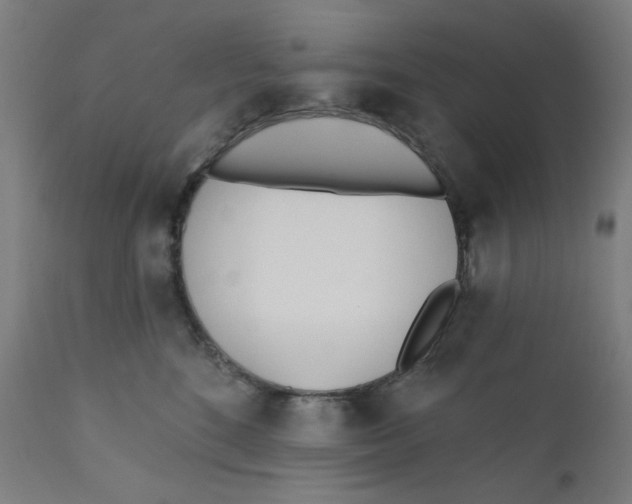 X0000112180520200909041233