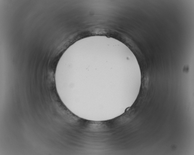 X0000112180521200909041233
