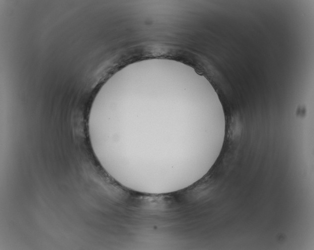 X0000112180524200909041233