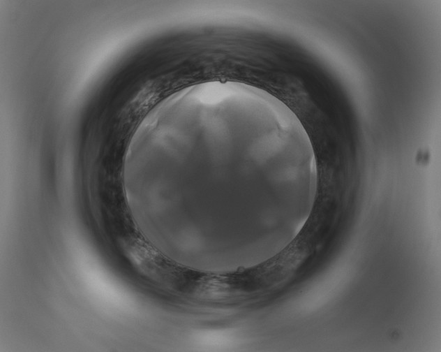 X0000112180526200909041233