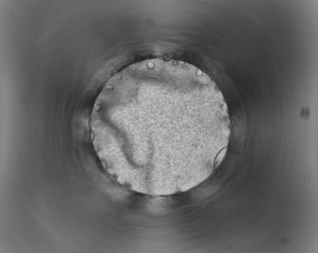 X0000112180527200909041233