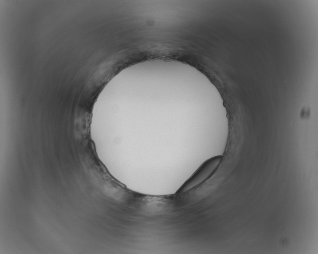 X0000112180528200909041233