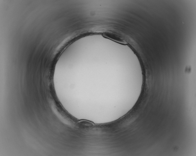X0000112180530200909041232
