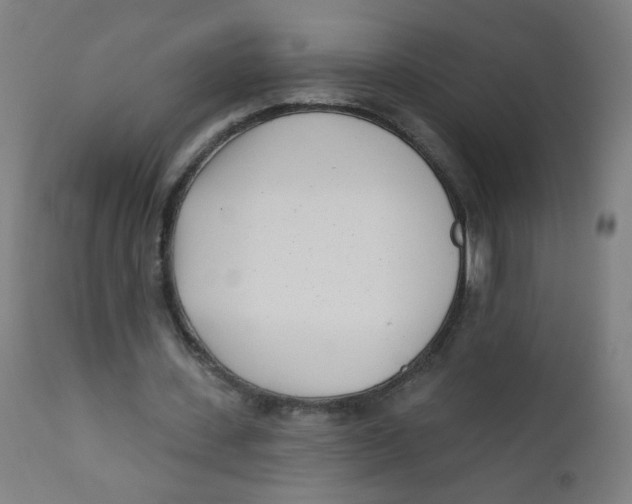 X0000112180531200909041232