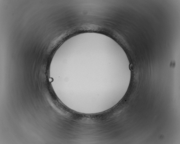 X0000112180538200909041233