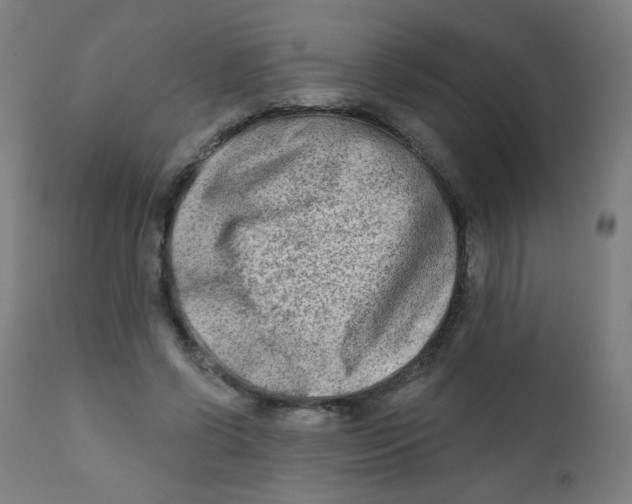 X0000112180542200909041233