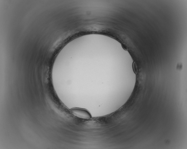 X0000112180544200909041233