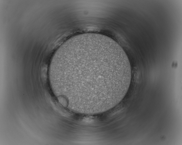 X0000112180550200909041233