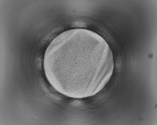 X0000112180551200909041233