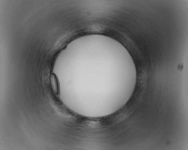 X0000112180552200909041233