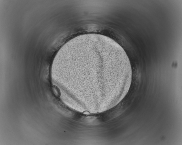 X0000112180554200909041233