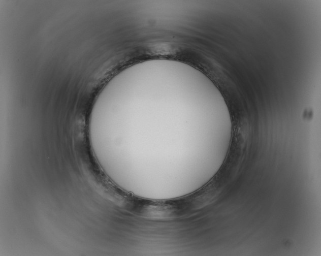 X0000112180556200909041233