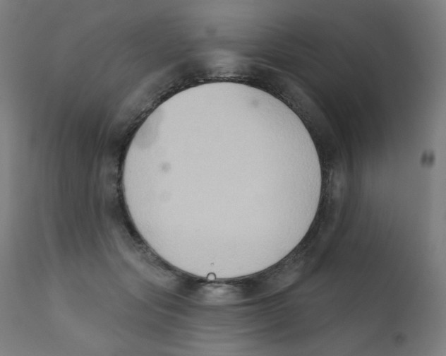 X0000112180557200909041233