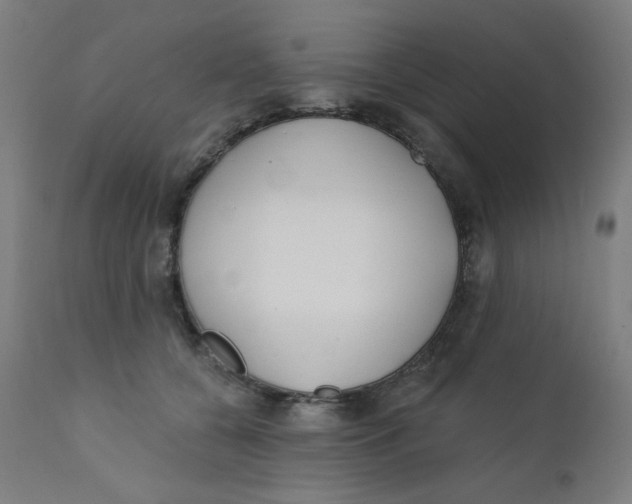 X0000112180560200909041233