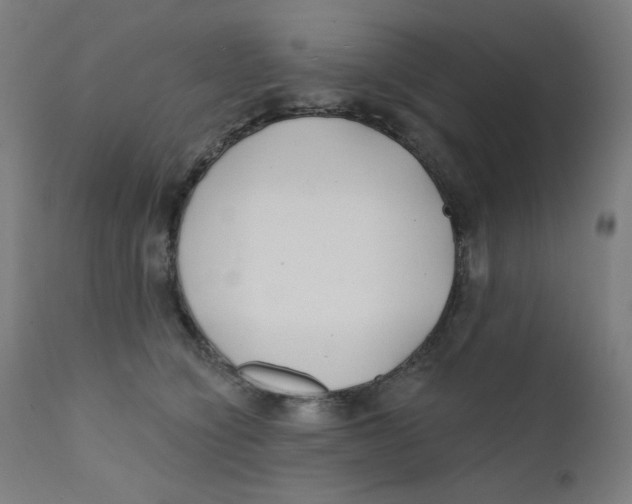 X0000112180564200909041233