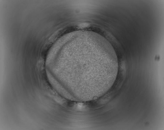 X0000112180565200909041233