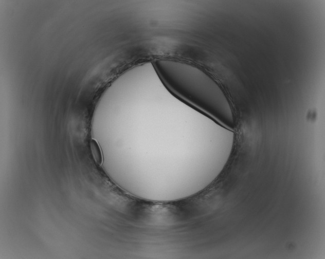 X0000112180566200909041233