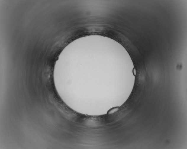 X0000112180567200909041233