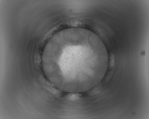 X0000112180569200909041233