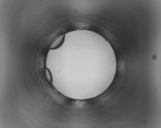 X0000112180570200909041233