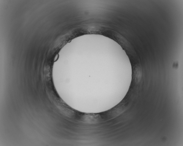 X0000112180571200909041233