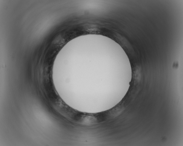 X0000112180572200909041233
