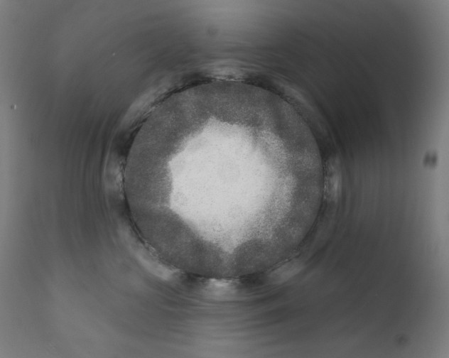 X0000112180573200909041233