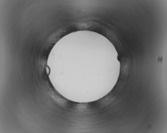 X0000112180574200909041233