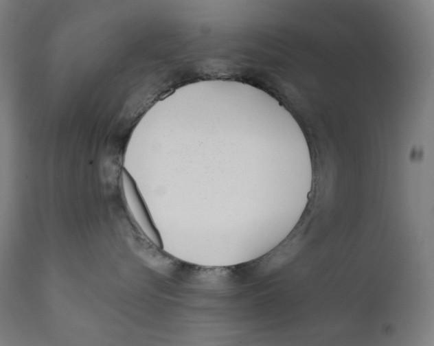 X0000112180576200909041233