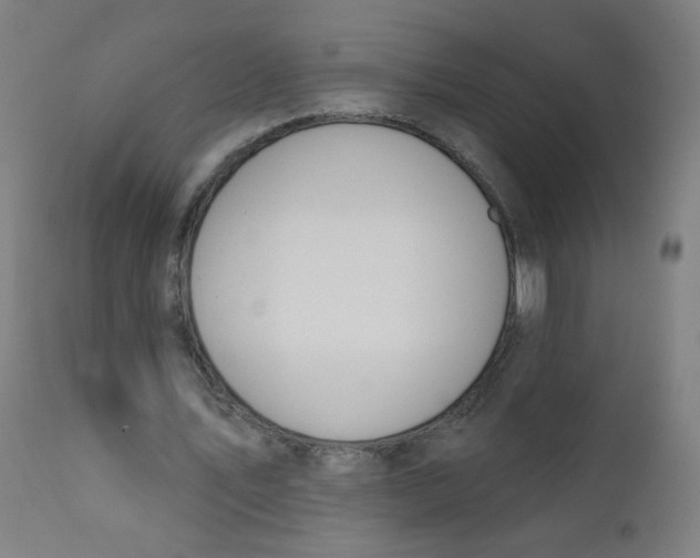 X0000112180579200909041232