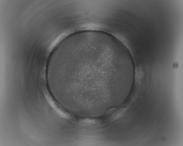 X0000112180581200909041232