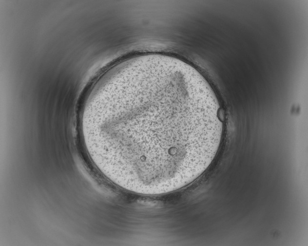 X0000112180582200909041232