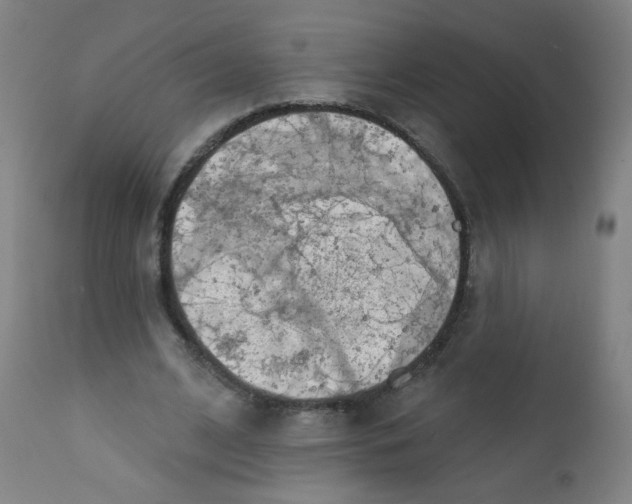 X0000112180584200909041232