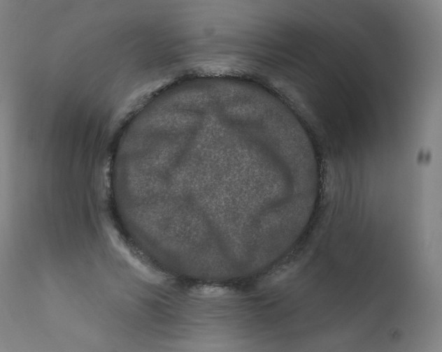 X0000112180590200909041232