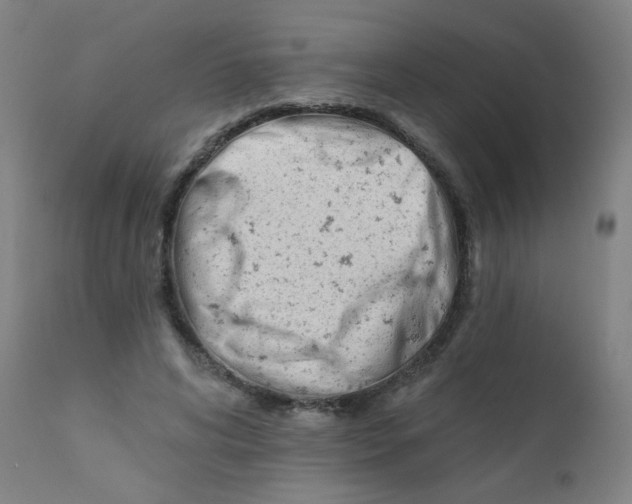 X0000112180592200909041232