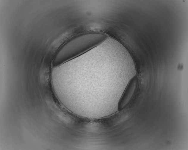 X0000112180593200909041232