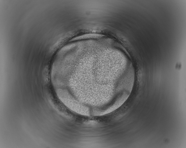 X0000112180594200909041232