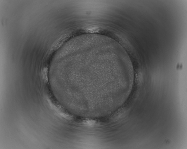 X0000112180598200909041232