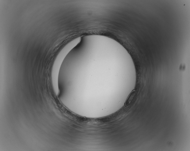 X0000112180599200909041232