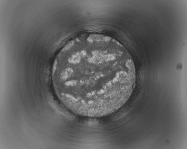 X0000112180600200909041232
