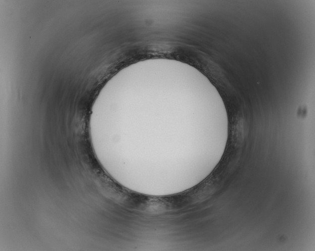 X0000112180608200909041232